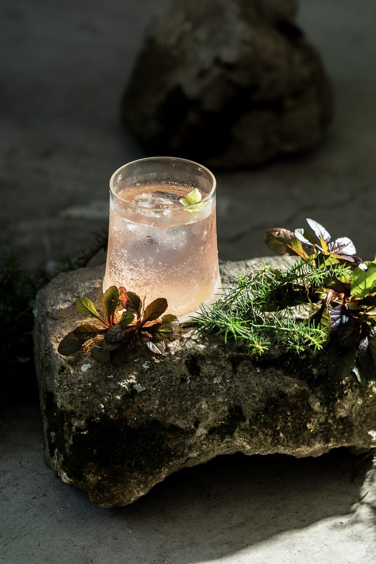 Negroni de los Andes