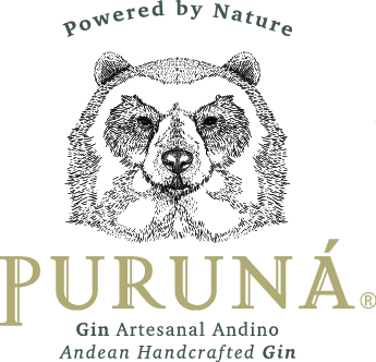 Oso andino Puruná